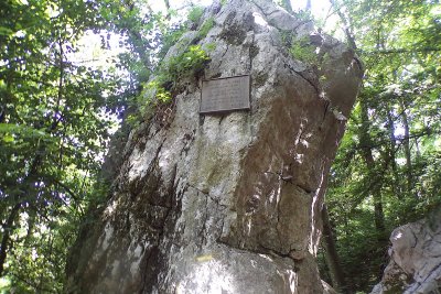 gombautestruchmerveilleuxjuin20200012